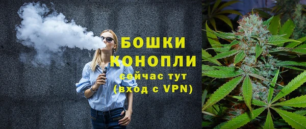 дмт Козловка