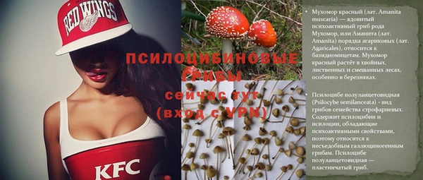 2c-b Корсаков