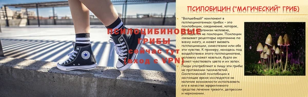 дмт Козловка