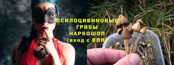 дмт Козловка