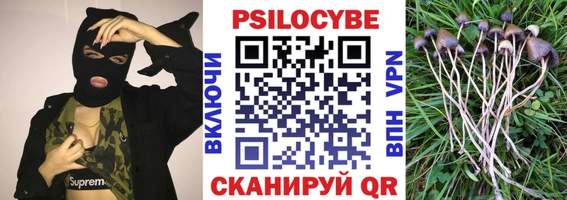 Галлюциногенные грибы GOLDEN TEACHER  где можно купить наркотик  Козловка 